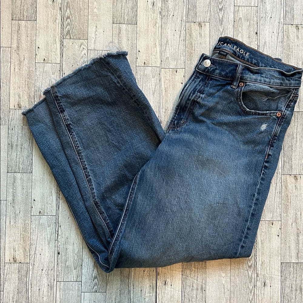 American Eagle low rise baggy barrel jean size 6